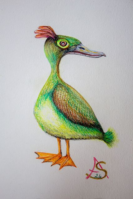 Pato de crista, Lápis de cor sobre papel, Ana Soares, 2024