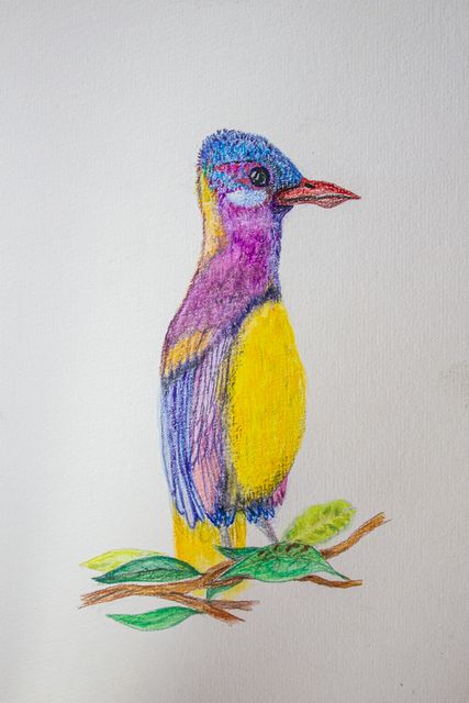 Violeta e limão, Lápis de cor sobre papel, Ana Soares